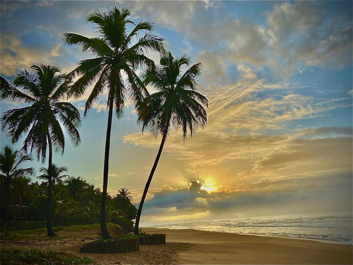 Отель Bahia Surf Camp Abrantes Экстерьер фото