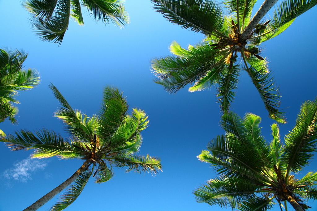Отель Bahia Surf Camp Abrantes Экстерьер фото
